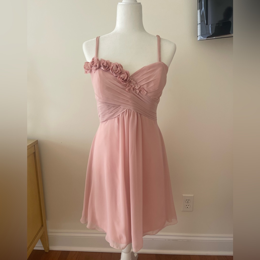 Bari Jay Light Pink With Decorative Bust Short Flowy Dress